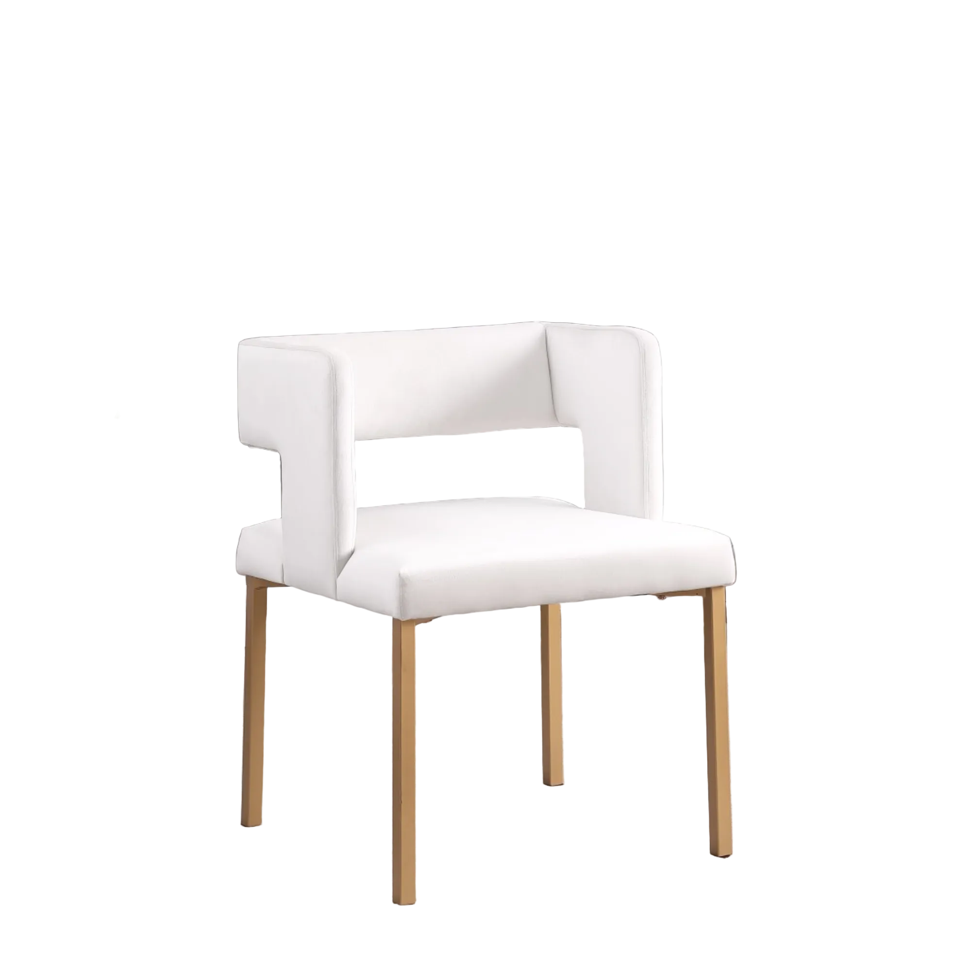 Anthony Dining Chair - Set of 2