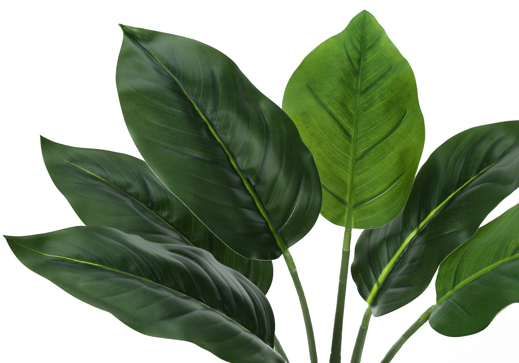 Artificial Plant, 17" Tall, Aureum