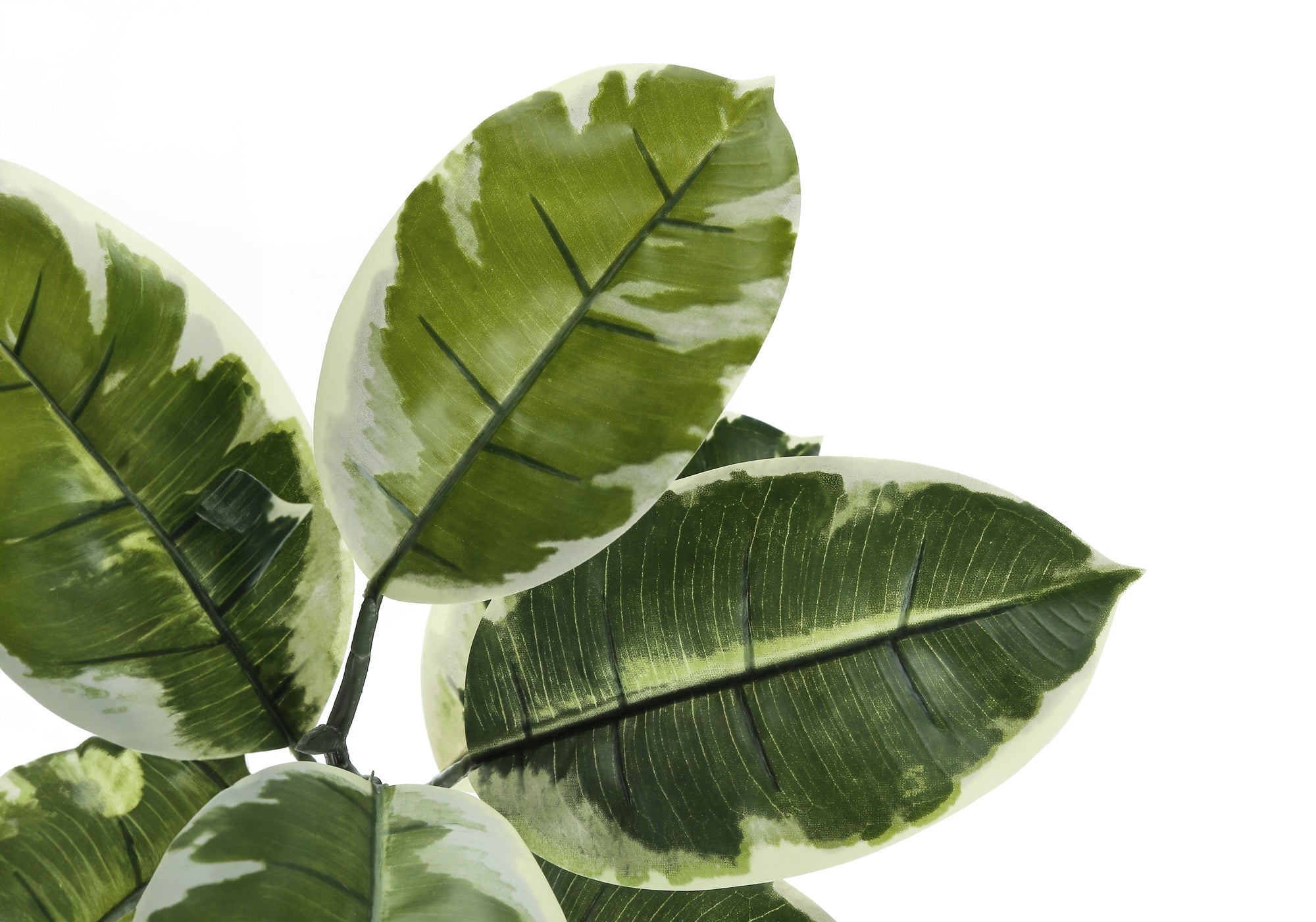 ARTIFICIAL PLANT - 52"H / INDOOR RUBBER TREE IN A 5" POT