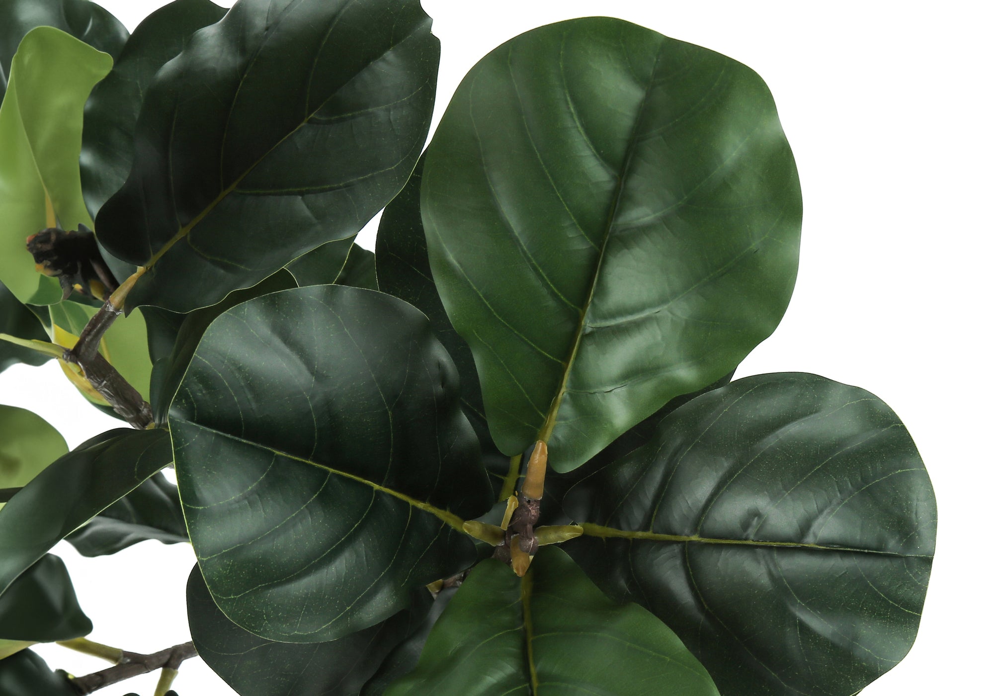 PLANTE ARTIFICIELLE - 47"H / ARBRE À VIOLONCELLE D'INTÉRIEUR DANS UN POT DE 5"