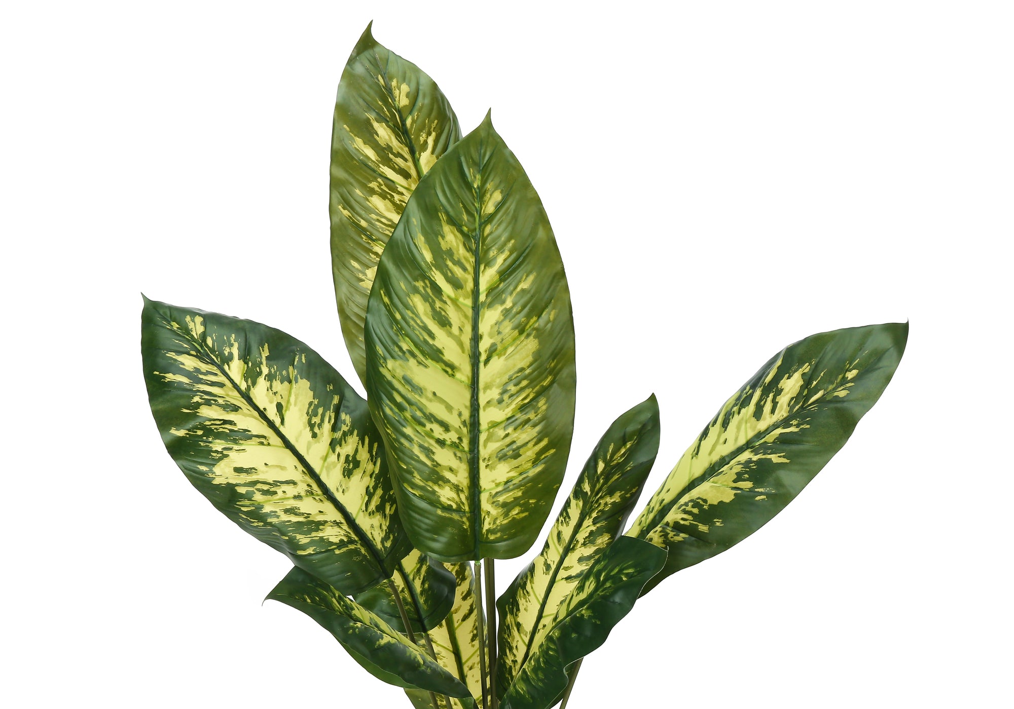 ARTIFICIAL PLANT - 47"H / INDOOR EVERGREEN IN A 5" POT