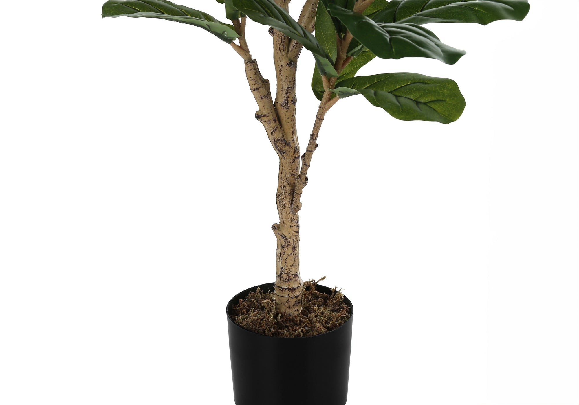 ARTIFICIAL PLANT - 47"H / INDOOR FIDDLE TREE IN A 5" POT