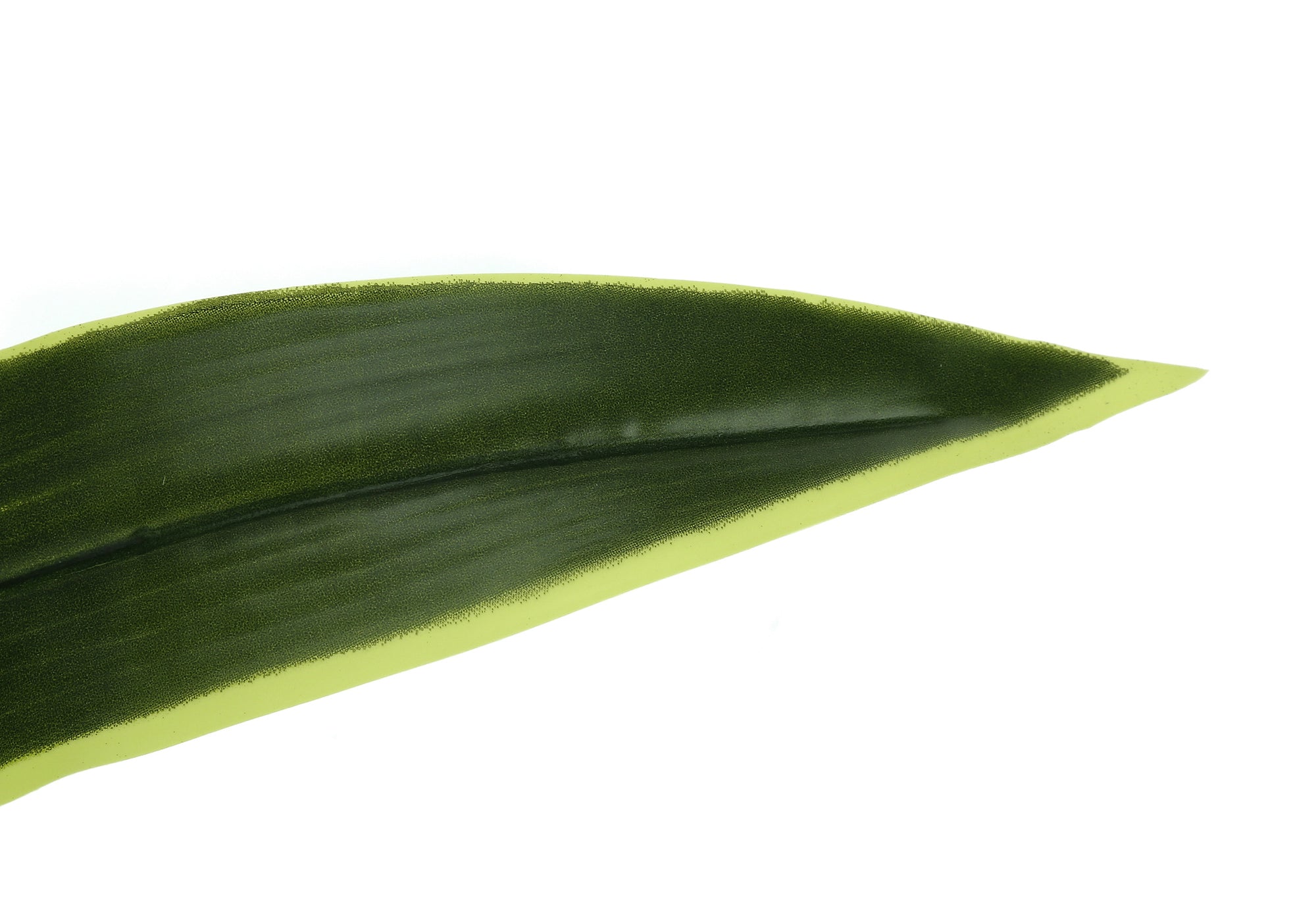 ARTIFICIAL PLANT - 47"H / INDOOR DRACAENA IN A 5" POT