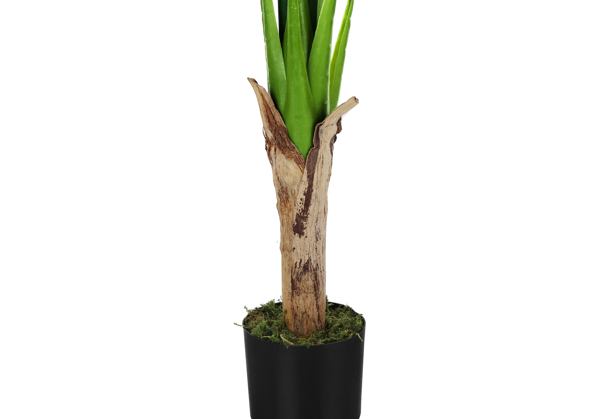 ARTIFICIAL PLANT - 43"H / INDOOR BANANA TREE IN A 5" POT