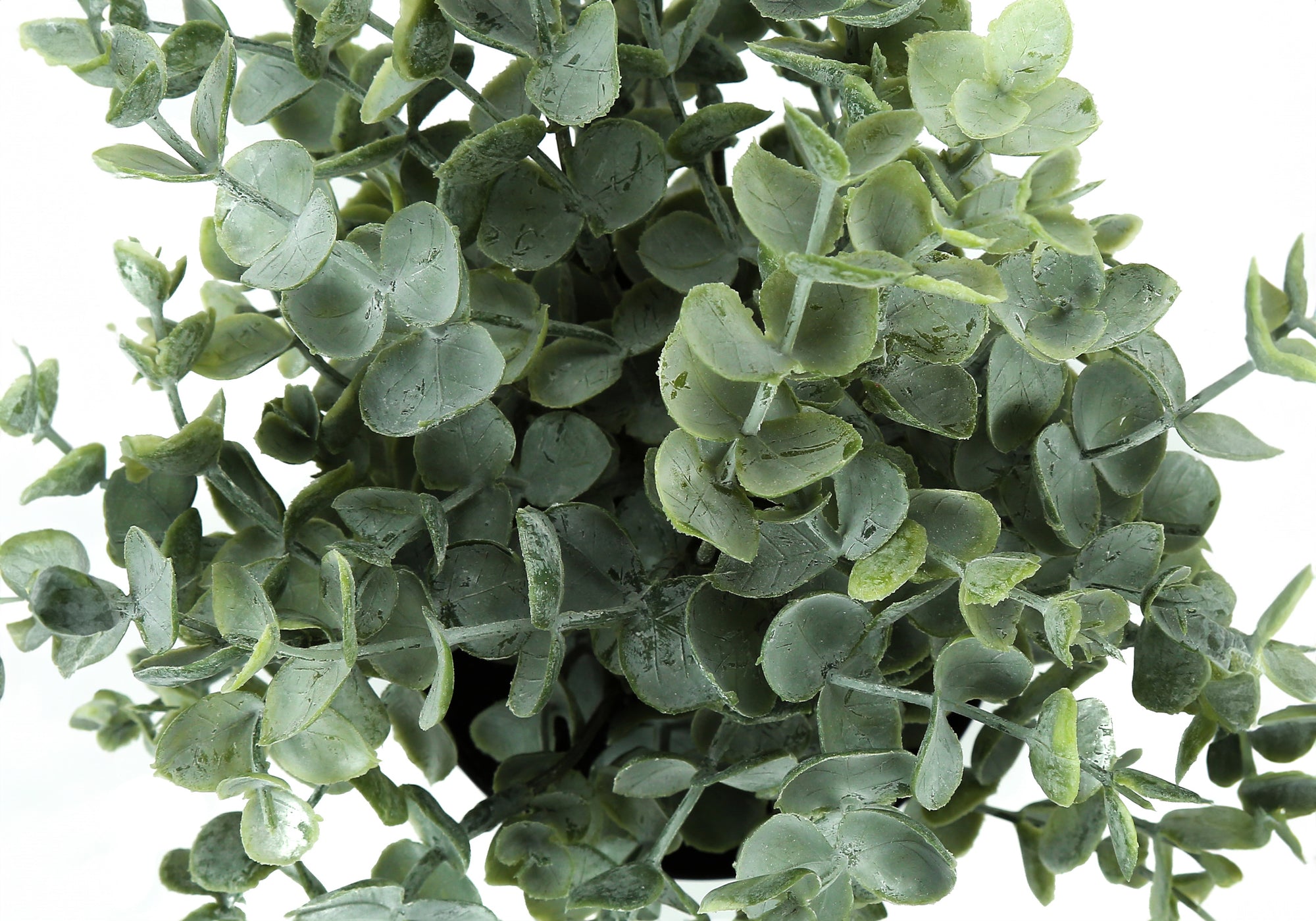 ARTIFICIAL PLANT - 2PCS / 11"H EUCALYPTUS/ GRASS / 5" POT