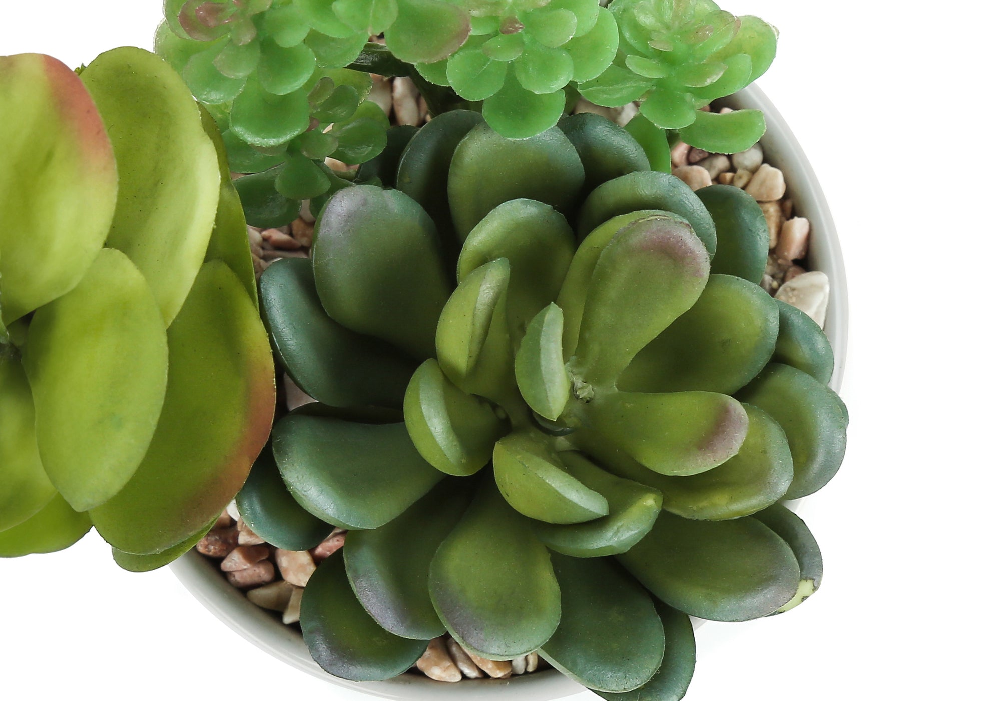 ARTIFICIAL PLANT - 2PCS / 7"H SUCCULENT IN 3" CERAMIC POT
