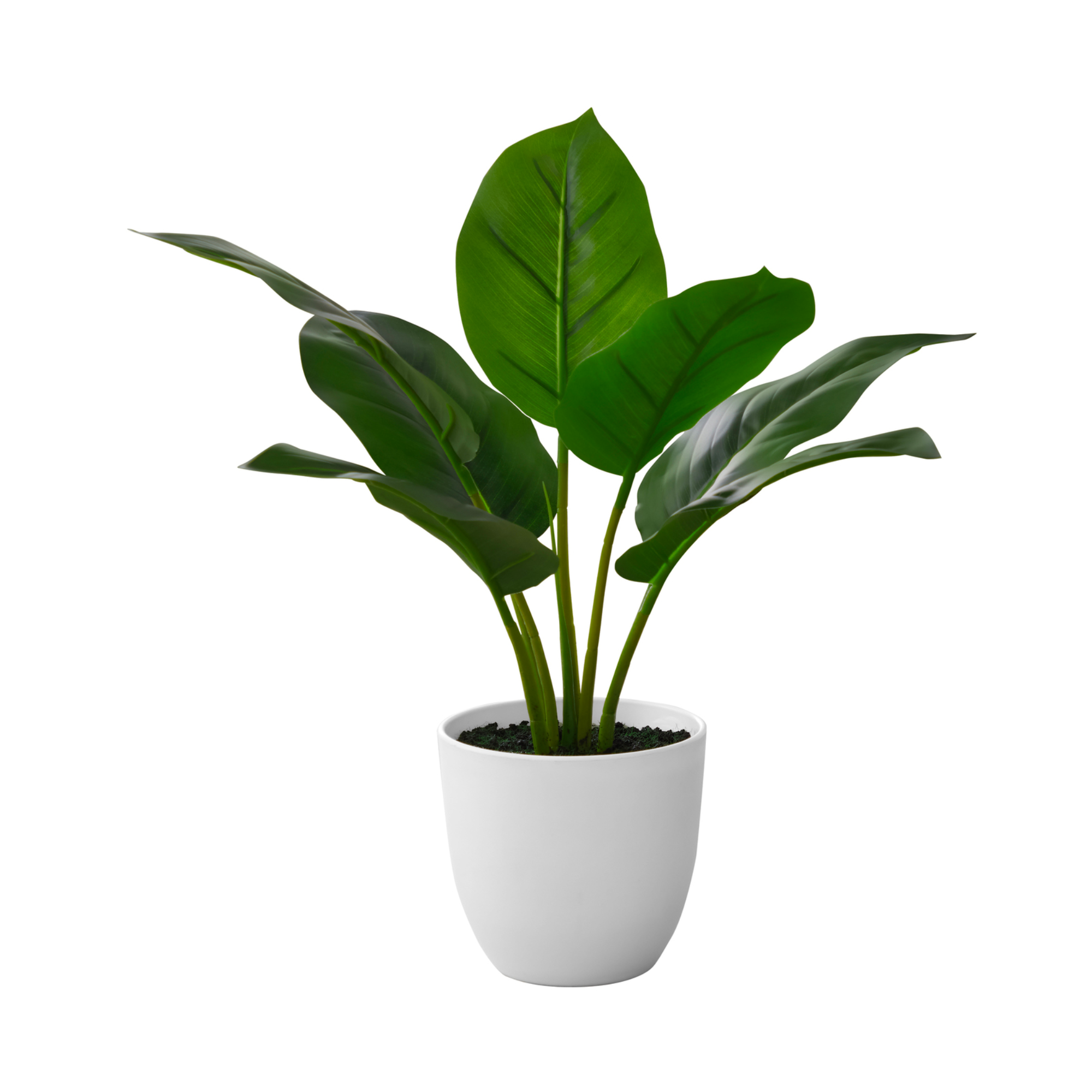 Artificial Plant, 17" Tall, Aureum