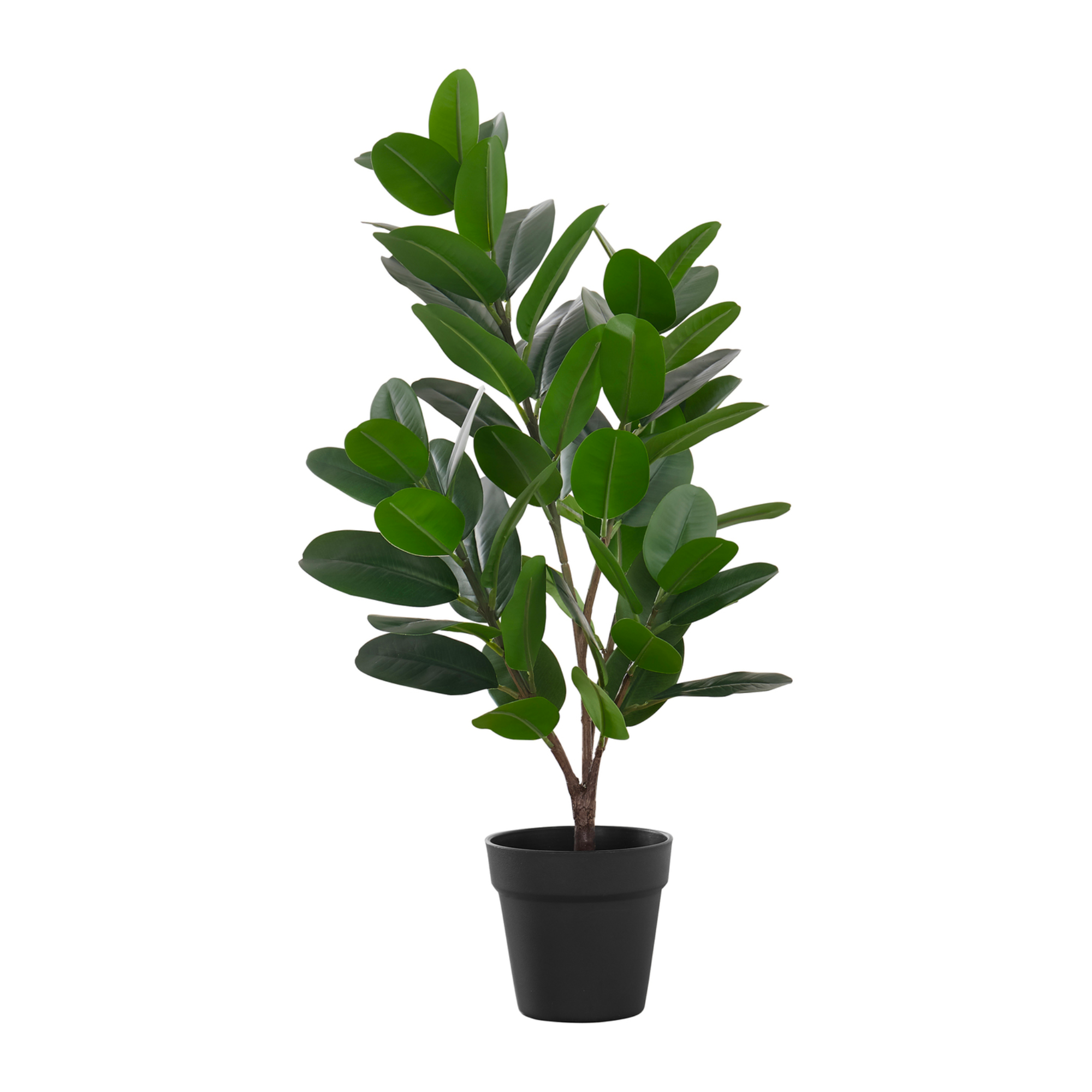 ARTIFICIAL PLANT - 28"H / INDOOR GARCINIA IN A 5" POT