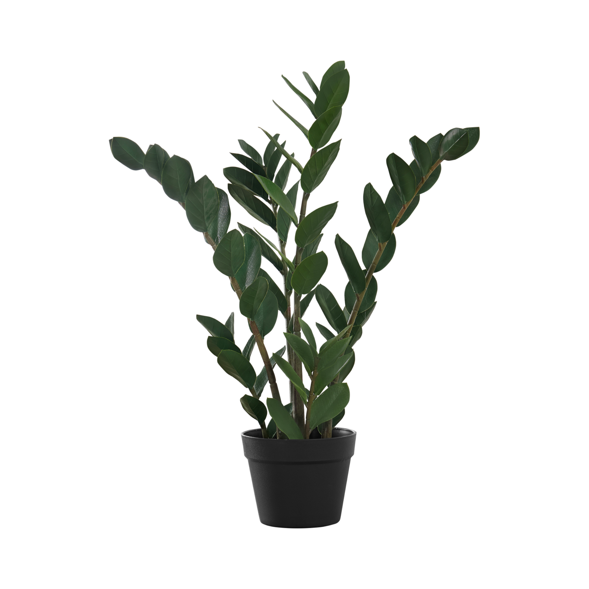 ARTIFICIAL PLANT - 29"H / INDOOR ZZ IN A 6" POT