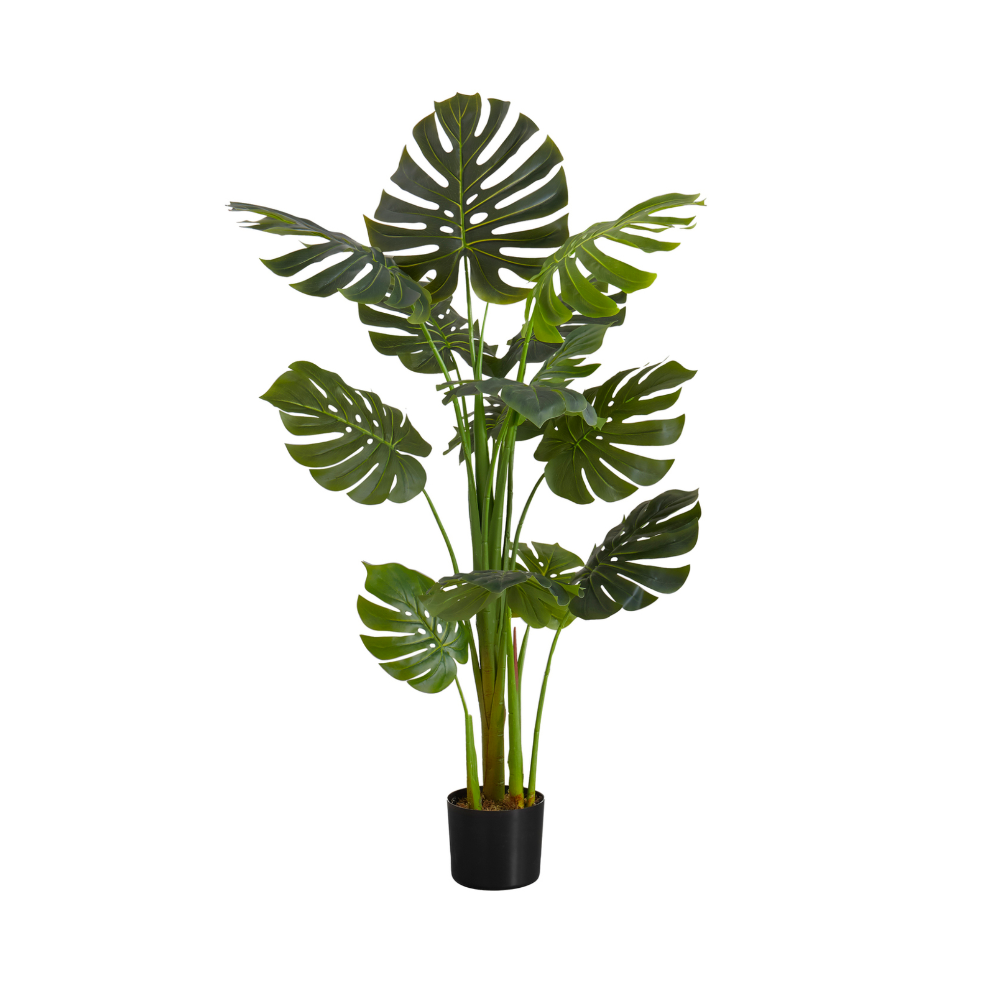 PLANTE ARTIFICIELLE - 55"H / MONSTERA D'INTÉRIEUR EN POT DE 6"