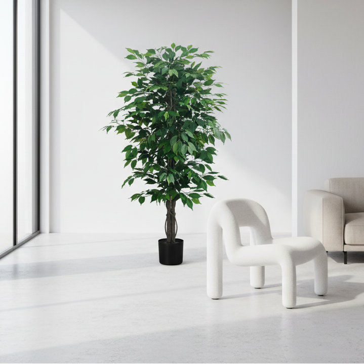 ARTIFICIAL PLANT - 58"H / INDOOR FICUS TREE IN A 6" POT