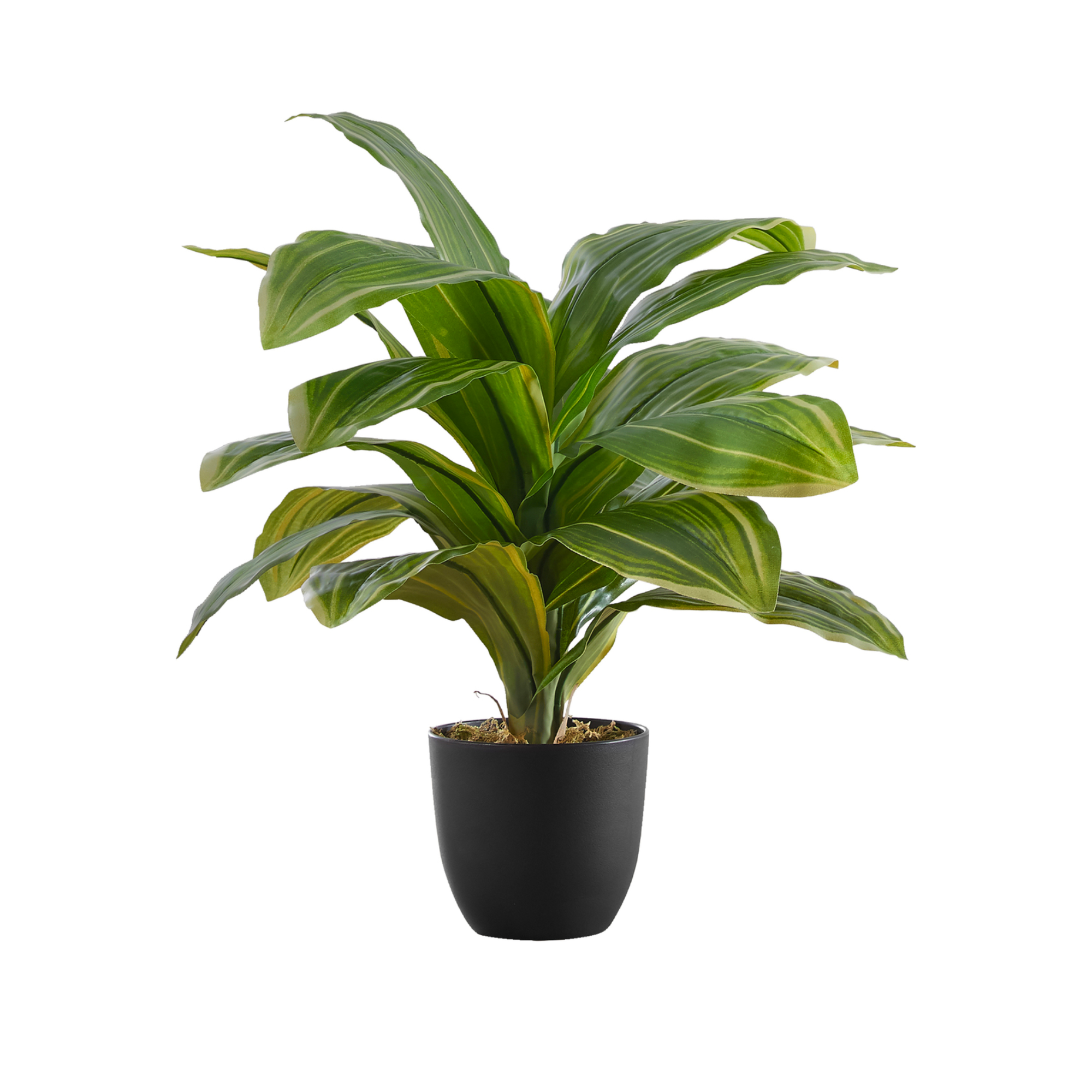 ARTIFICIAL PLANT - 17"H / INDOOR DRACAENA IN A 4" POT