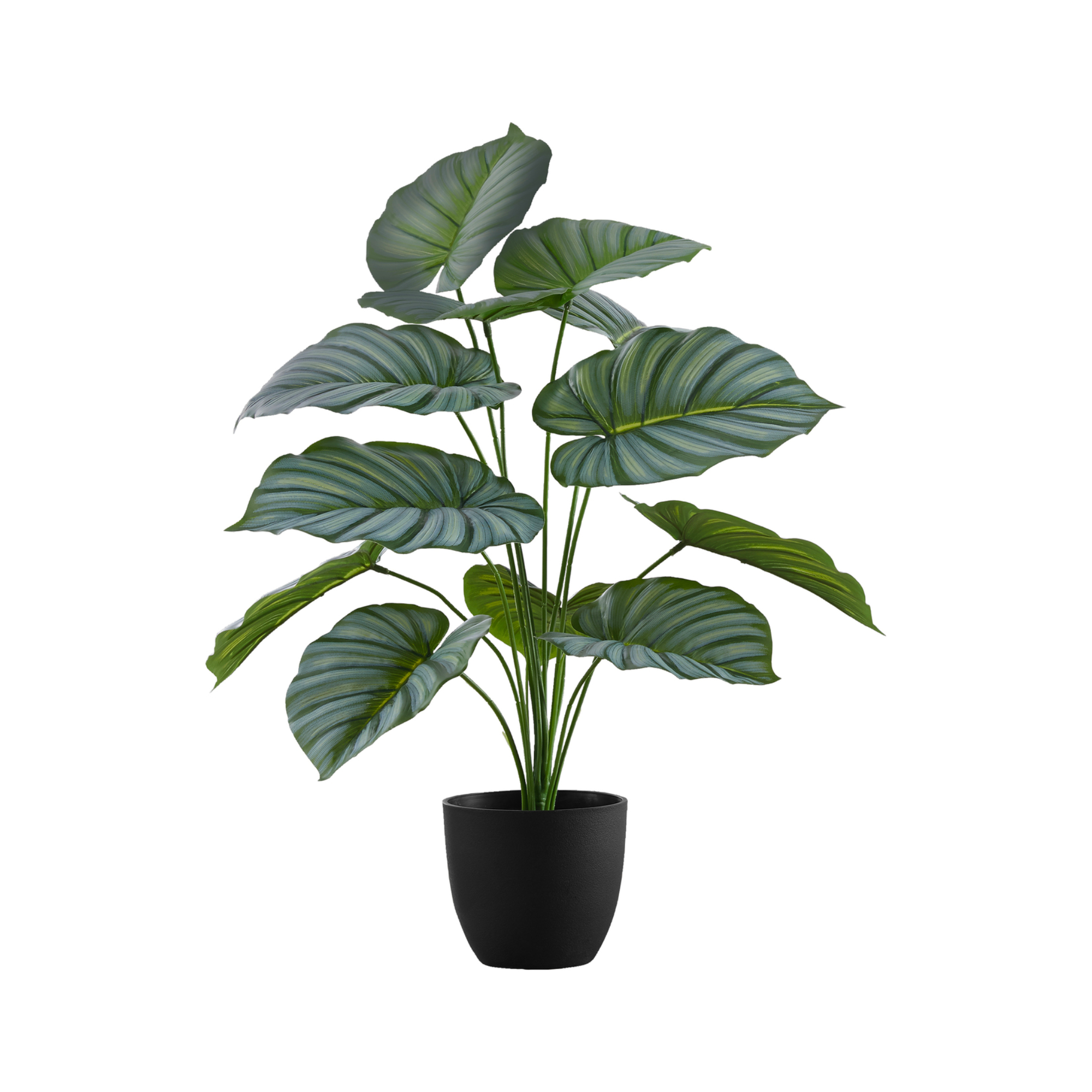 ARTIFICIAL PLANT - 24"H / INDOOR CALATHEA IN A 5" POT