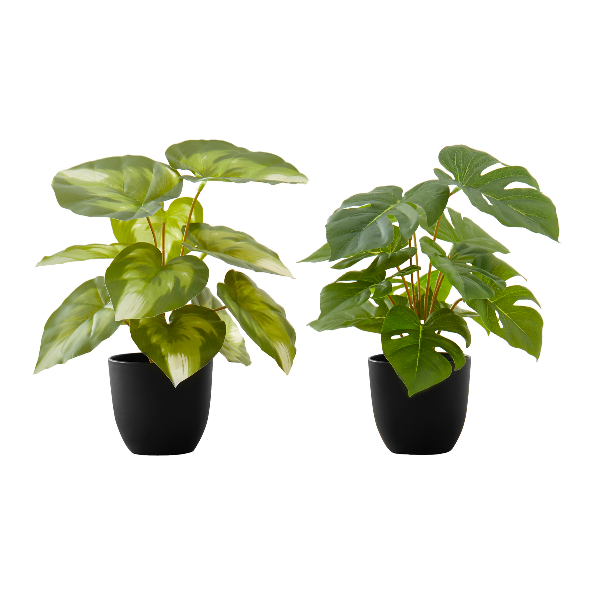 ARTIFICIAL PLANT - 2PCS / 13"H MONSTERA/CALATHEA/ 4" POT