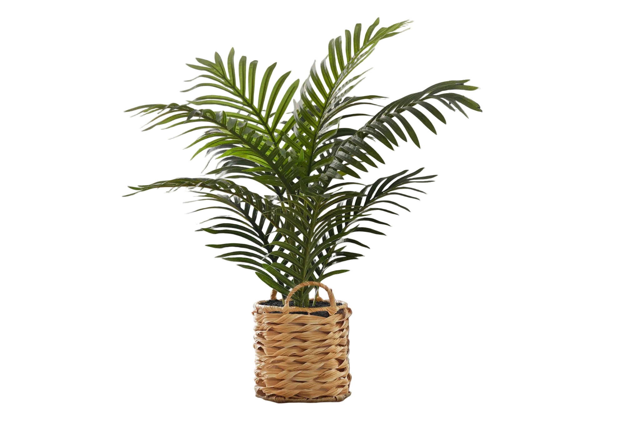 ARTIFICIAL PLANT - 24"H / INDOOR PALM / 8" WOVEN BASKET