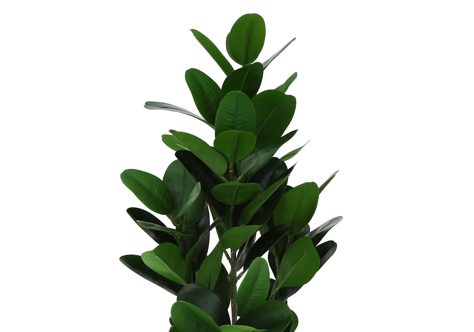 PLANTE ARTIFICIELLE - 71 cm H / GARCINIA D'INTÉRIEUR EN POT DE 12,7 cm