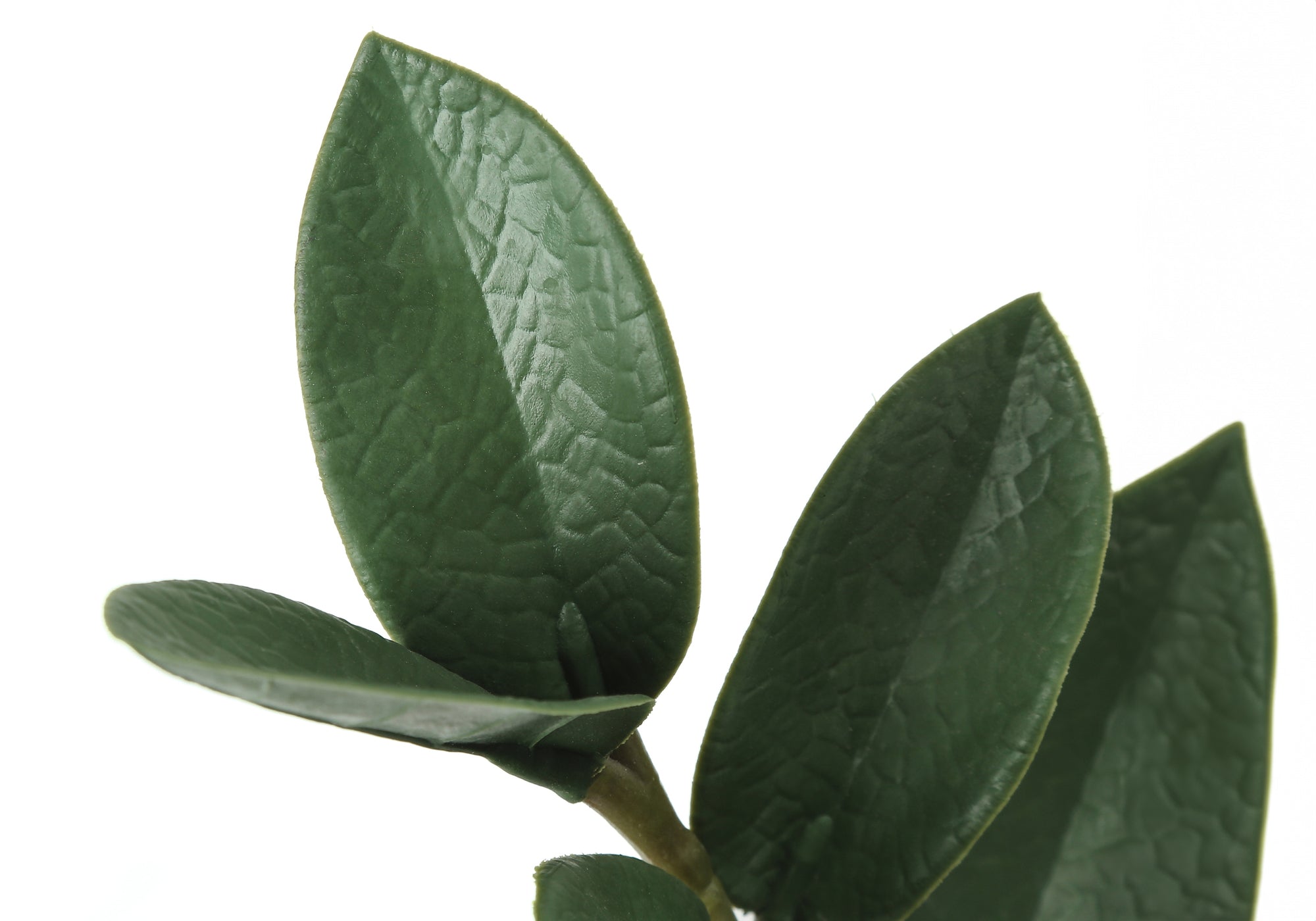 ARTIFICIAL PLANT - 29"H / INDOOR ZZ IN A 6" POT