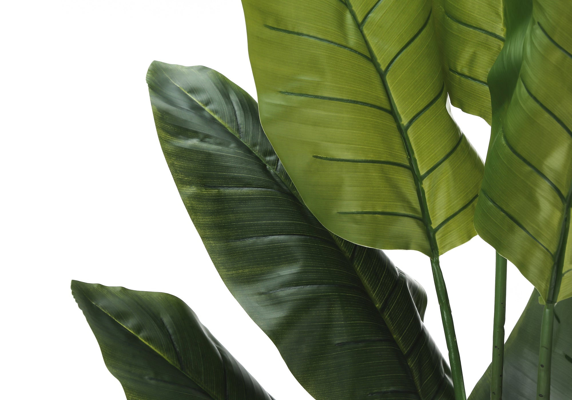 PLANTE ARTIFICIELLE - 150 cm H / STRELITZIA D'INTÉRIEUR EN POT DE 12,7 cm