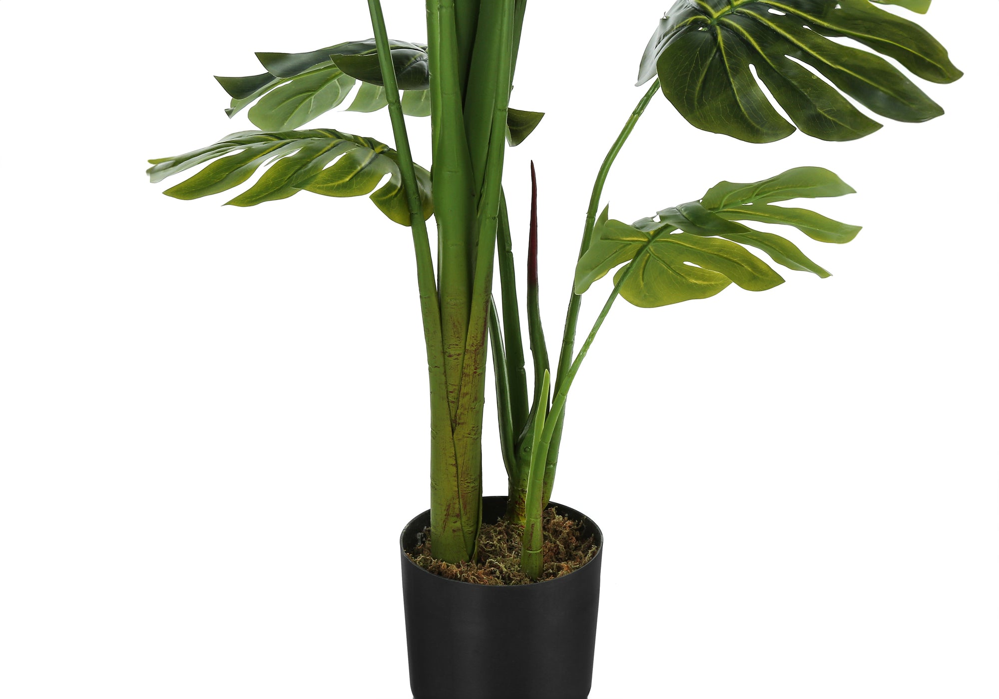 PLANTE ARTIFICIELLE - 55"H / MONSTERA D'INTÉRIEUR EN POT DE 6"