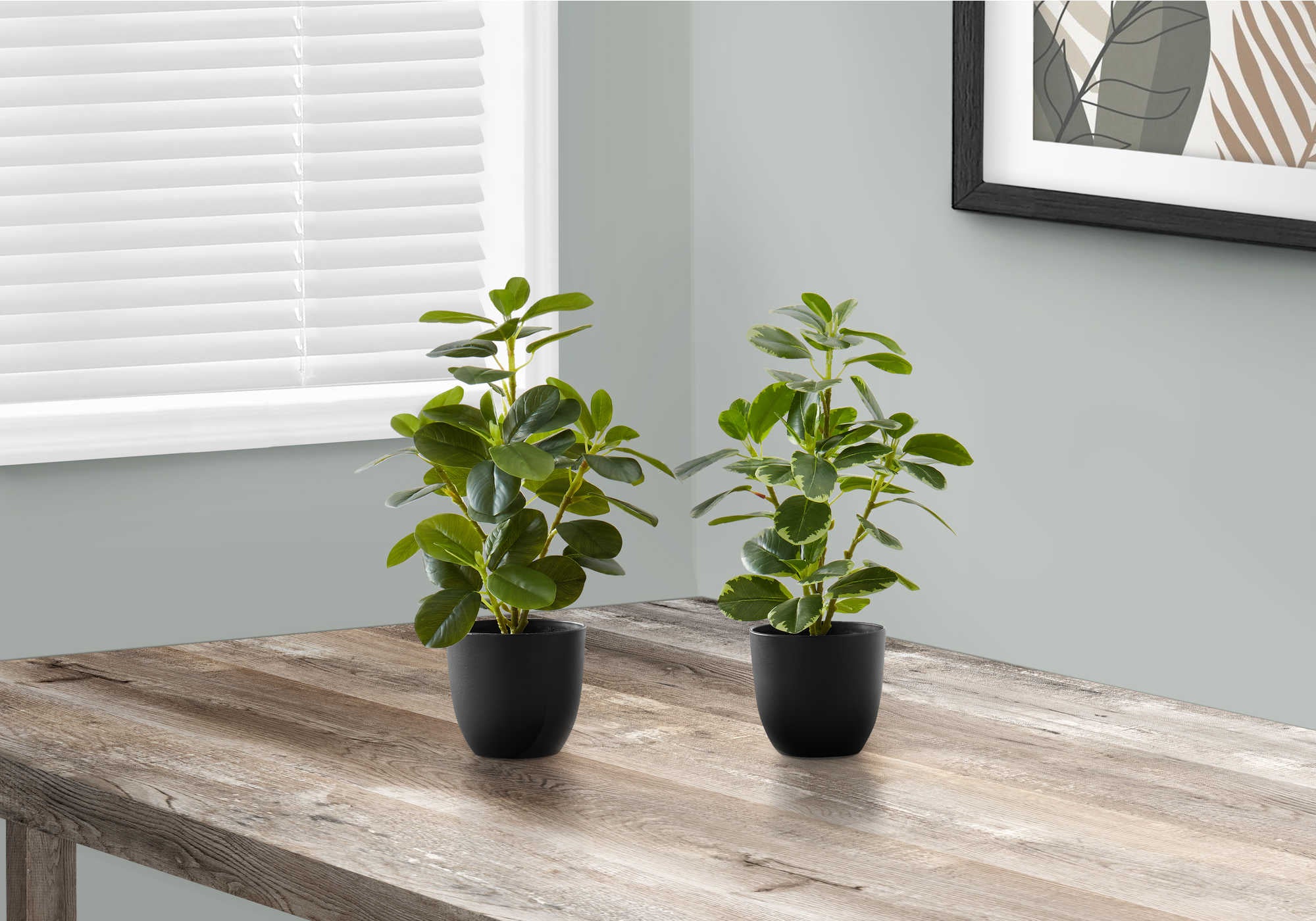 ARTIFICIAL PLANT - 2PCS / 14"H FICUS ELASTICA IN 4" POT
