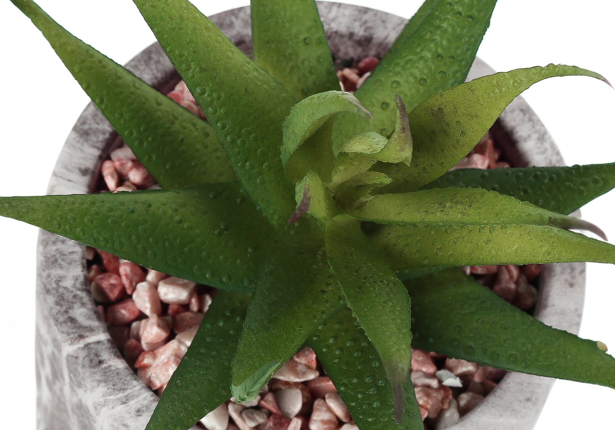 ARTIFICIAL PLANT - 2PCS / 7"H SUCCULENT IN 4" CEMENT POT
