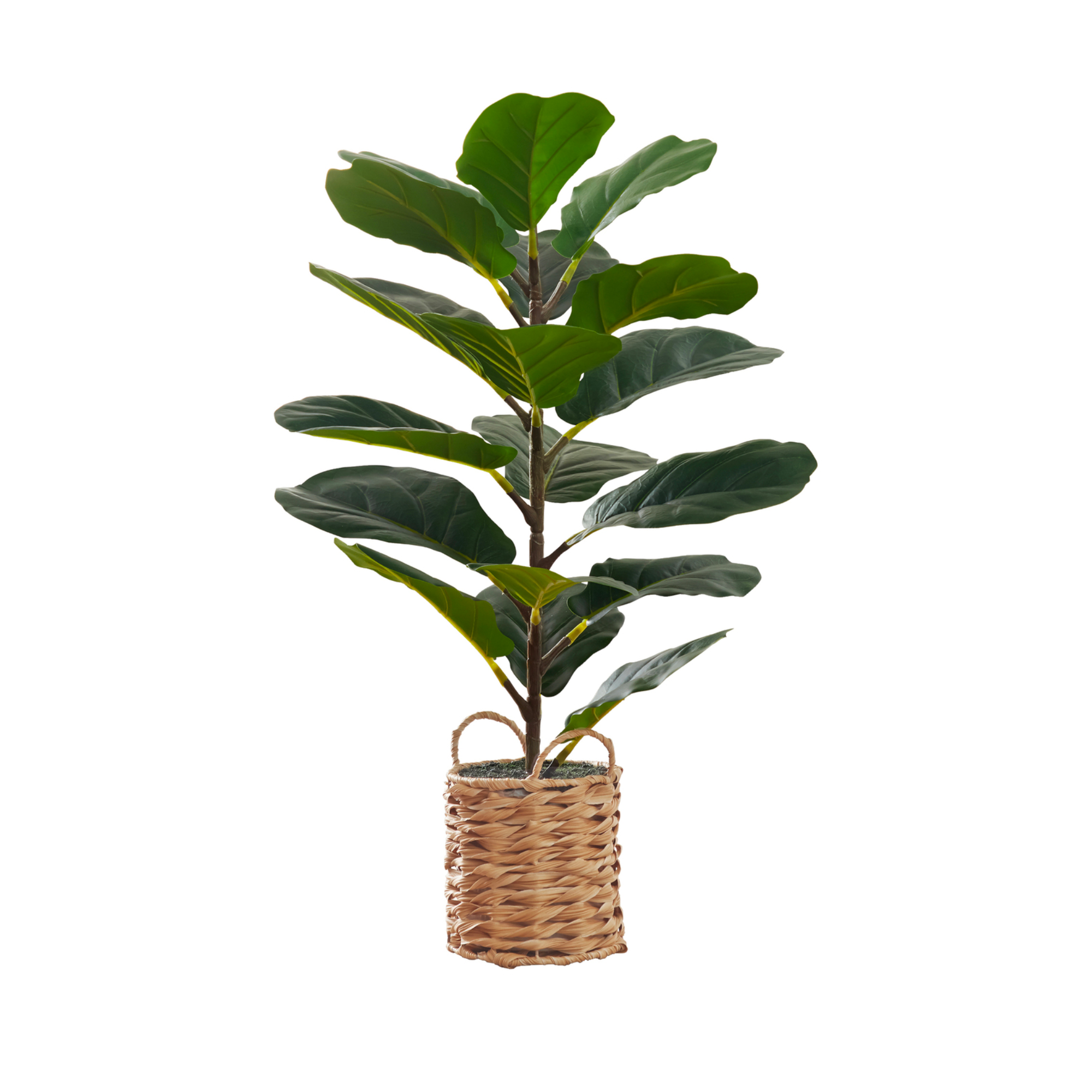 ARTIFICIAL PLANT - 28"H / INDOOR FIDDLE / 8" WOVEN BASKET