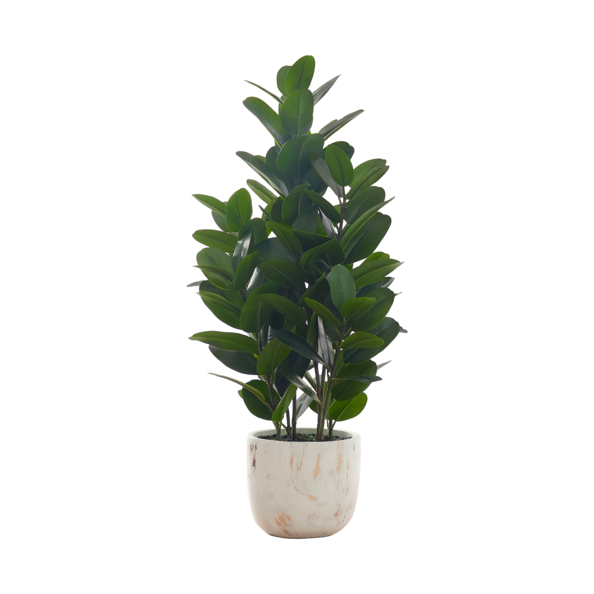 PLANTE ARTIFICIELLE - 79 cm H / GARCINIA D'INTÉRIEUR EN POT DE 18 CM