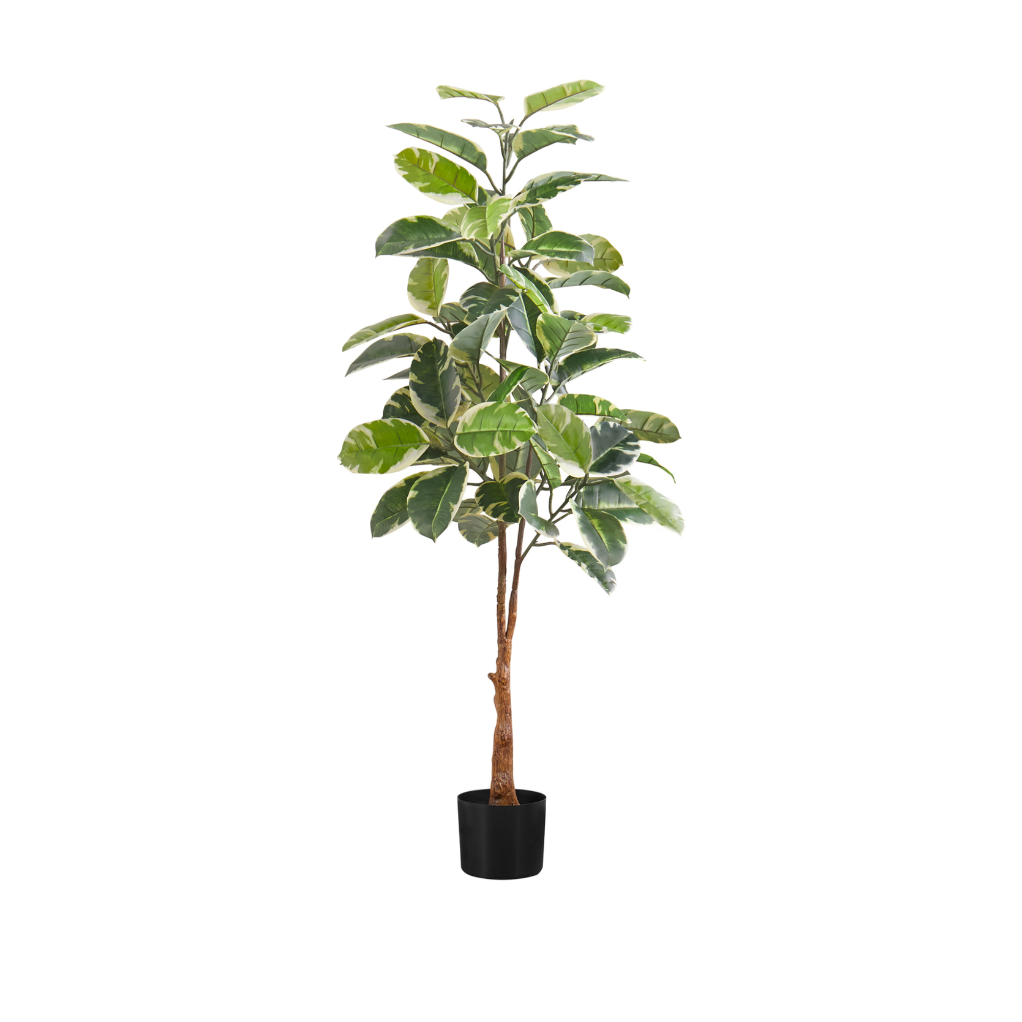 ARTIFICIAL PLANT - 52"H / INDOOR RUBBER TREE IN A 5" POT