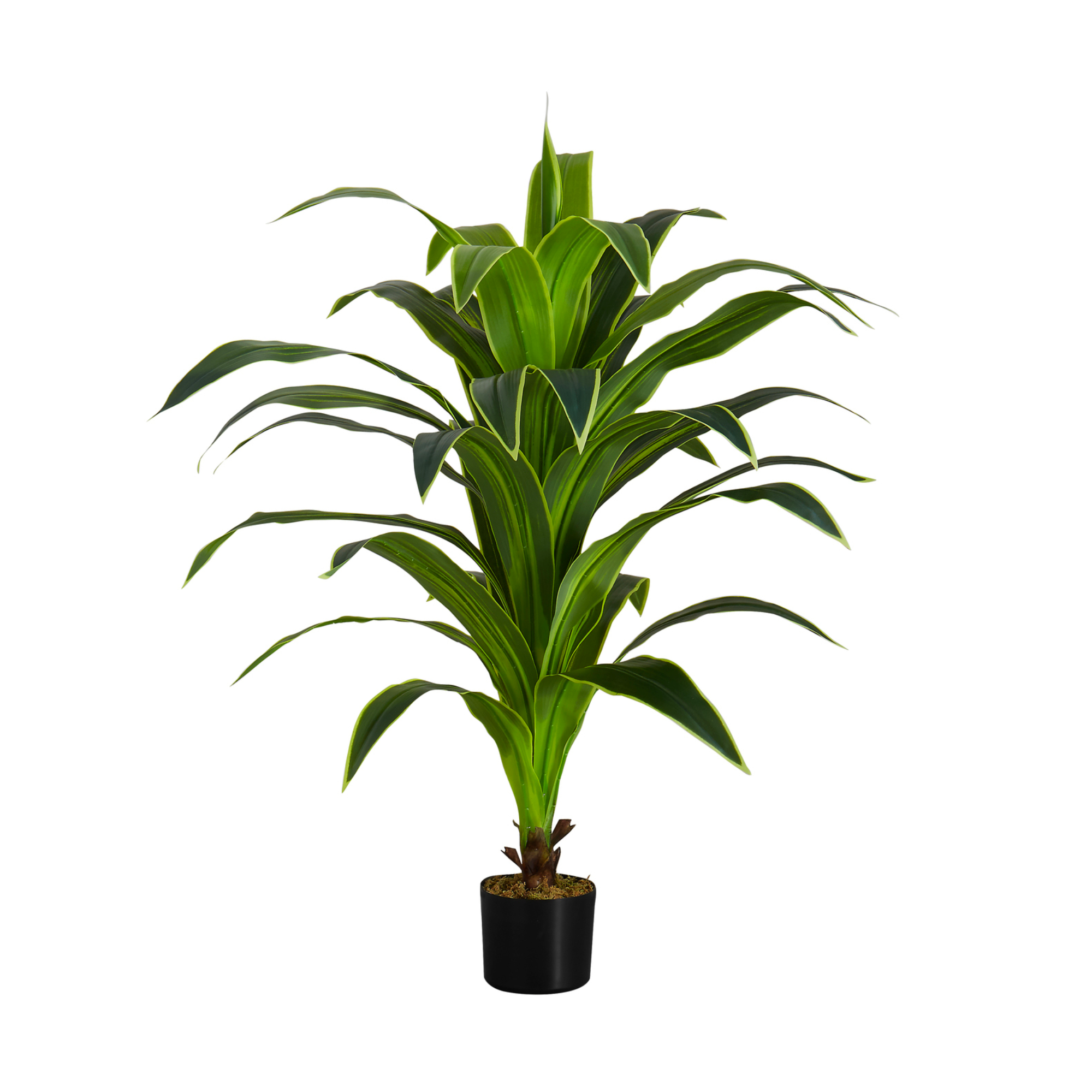 PLANTE ARTIFICIELLE - 120 cm H / DRACAENA D'INTÉRIEUR EN POT DE 12,7 cm