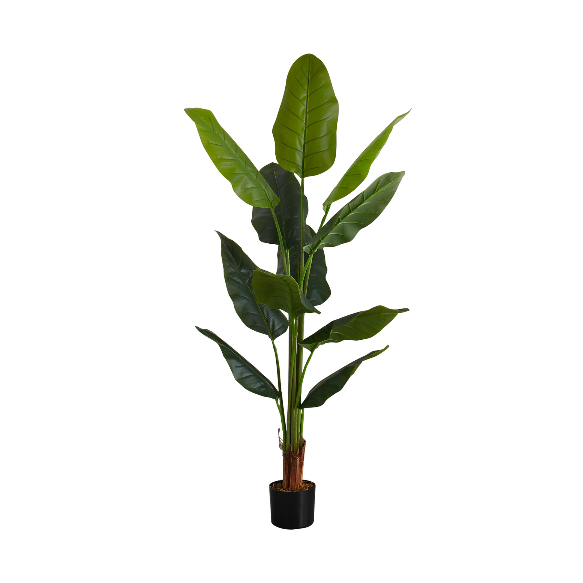 PLANTE ARTIFICIELLE - 150 cm H / STRELITZIA D'INTÉRIEUR EN POT DE 12,7 cm