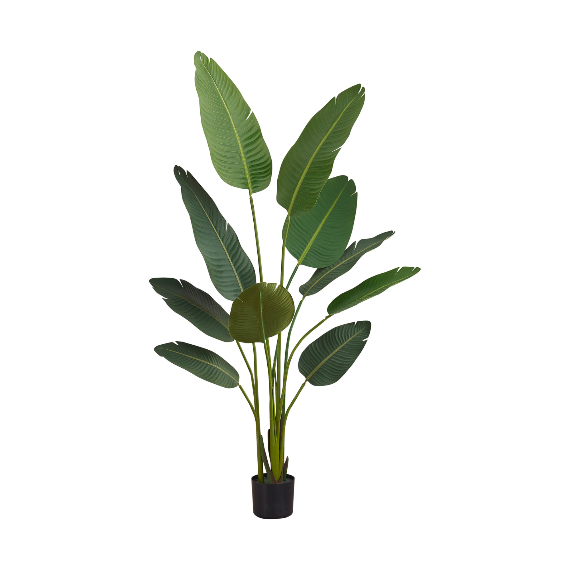 ARTIFICIAL PLANT - 60"H / INDOOR BIRD OF PARADISE 5" POT