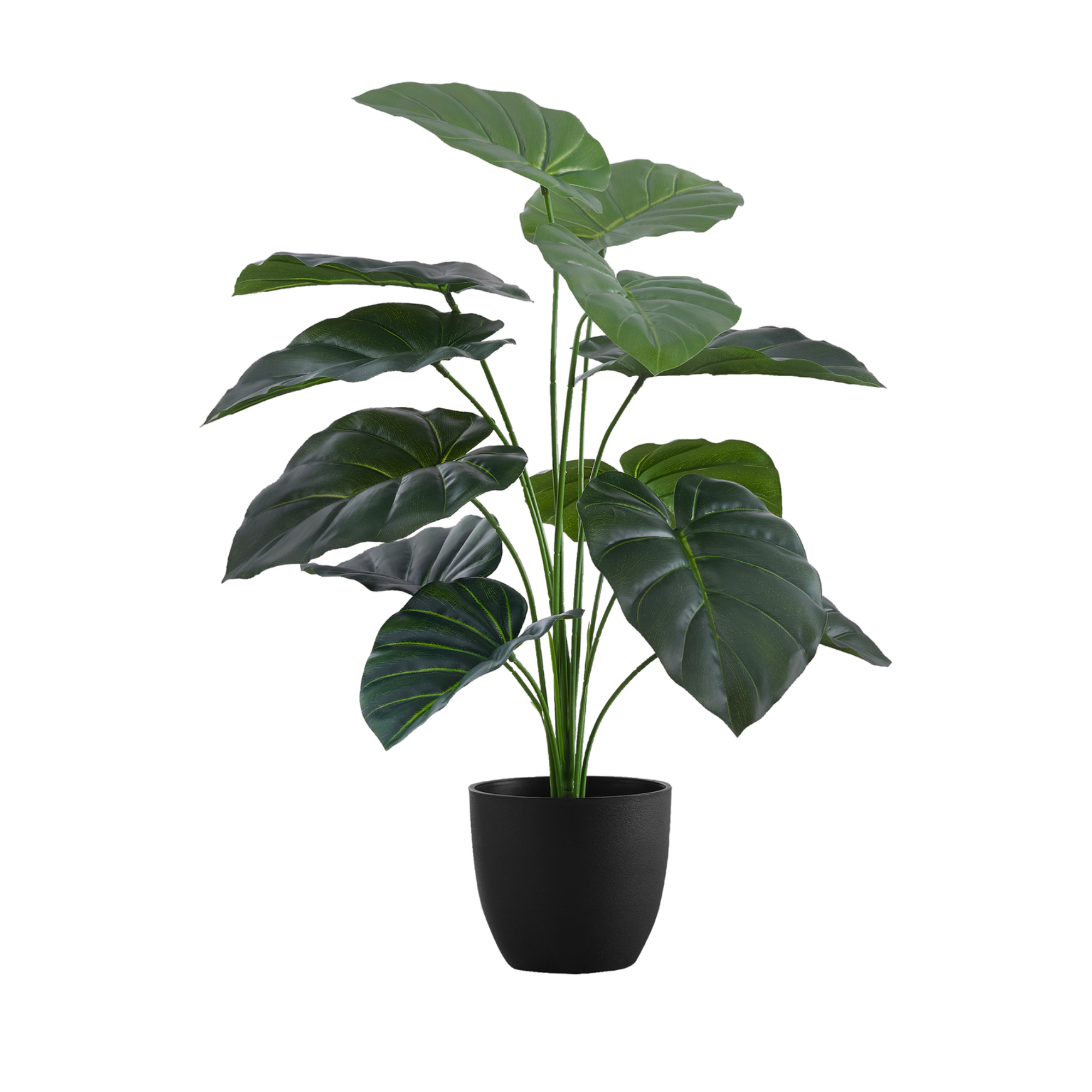 ARTIFICIAL PLANT - 24"H / INDOOR ALOCASIA IN A 5" POT